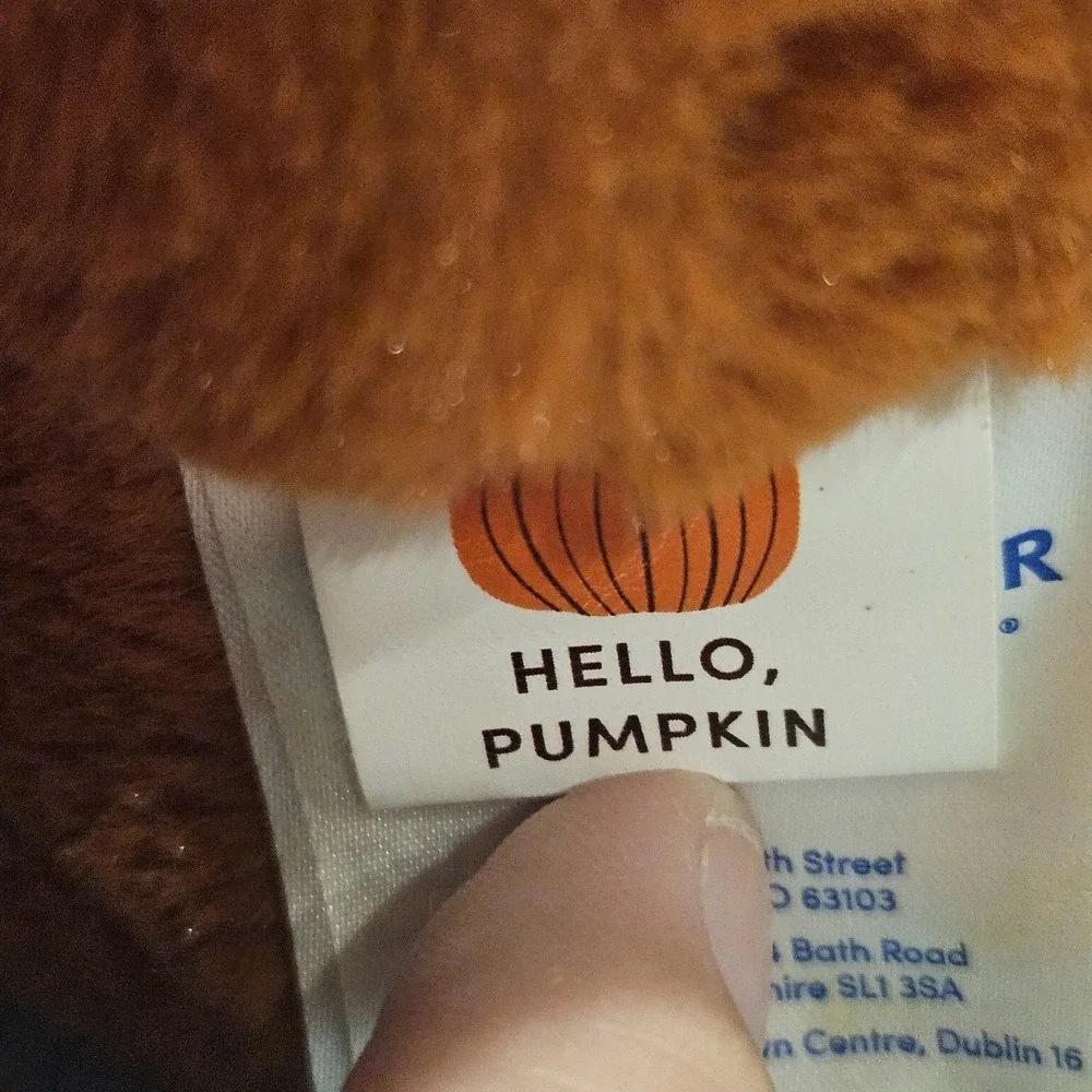 Build A Bear Halloween‎ Black Cat & Hello Pumpkin Teddy Bear Plush Bundle Fall